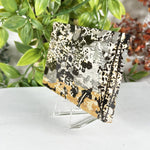 Picture Jasper Slab  - RSL103