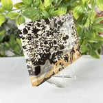 Picture Jasper Slab  - RSL103