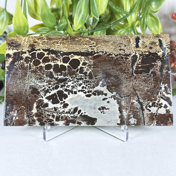 Natural Picture Jasper Slab - Gem Avenue Retail