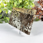 Picture Jasper Slab Natural Scenic Pattern Stone - RSL104