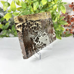 Picture Jasper Slab Natural Scenic Pattern Stone - RSL104