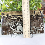 Picture Jasper Slab Natural Scenic Pattern Stone - RSL104