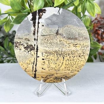 Natural Picture Jasper Slab - Gem Avenue Retail