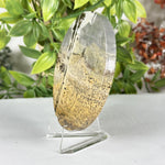 Polished Round Picture Jasper Slab Natural Scenic Pattern - RSL105
