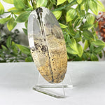 Polished Round Picture Jasper Slab Natural Scenic Pattern - RSL105