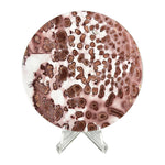 Polished Round Picture Jasper Slab Red & Cream Orbicular Pattern - RSL106