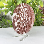 Polished Round Picture Jasper Slab Red & Cream Orbicular Pattern - RSL106