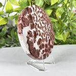 Polished Round Picture Jasper Slab Red & Cream Orbicular Pattern - RSL106