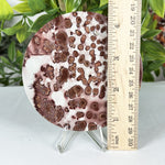 Polished Round Picture Jasper Slab Red & Cream Orbicular Pattern - RSL106