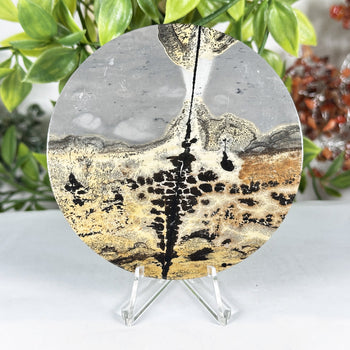 Picture Jasper Slab -  Gem Avenue Retail
