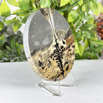 Polished Round Picture Jasper Slab Natural Scenic Peak Pattern - RSL107