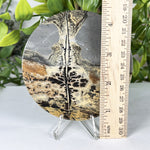 Polished Round Picture Jasper Slab Natural Scenic Peak Pattern - RSL107