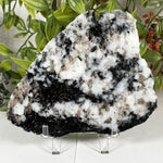 Rainbow Moonstone Gemstone Slab - RSL131