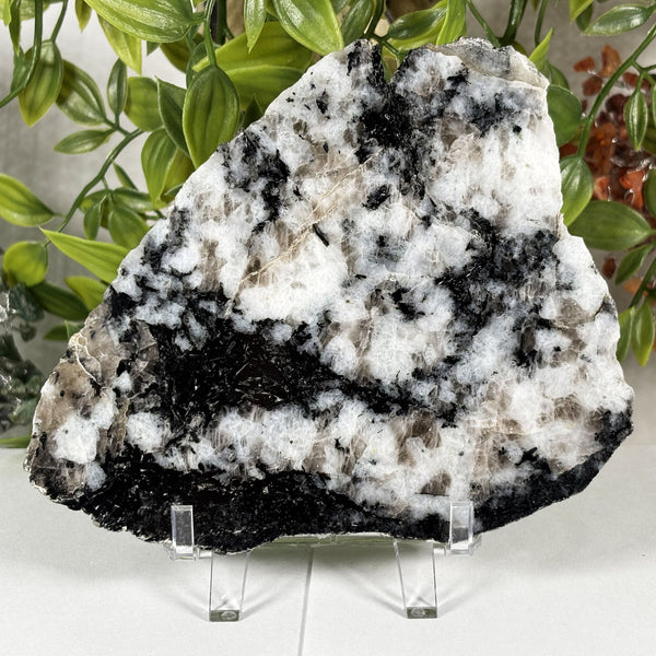 Rainbow Moonstone Gemstone Slab - Gem Avenue Wholesale