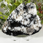 Rainbow Moonstone Gemstone Slab - RSL131