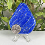 Lapis Lazuli Gemstone Slab - RSL157