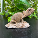 Natural Serpentine Chameleon Figurine – Hand-Carved Crystal Animal Statue for Home Décor & Collectible Display