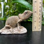 Natural Serpentine Chameleon Figurine – Hand-Carved Crystal Animal Statue for Home Décor & Collectible Display