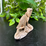 Natural Serpentine Chameleon Figurine – Hand-Carved Crystal Animal Statue for Home Décor & Collectible Display