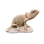 Natural Serpentine Chameleon Figurine – Hand-Carved Crystal Animal Statue for Home Décor & Collectible Display