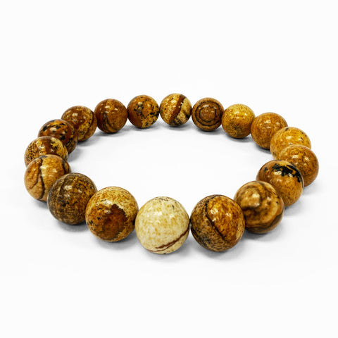 Picture Jasper Gemstone Bead Unisex Stretch Bracelet - Gem Avenue