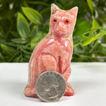 Hand-Carved Rhodochrosite Cat Gemstone Animal Carving