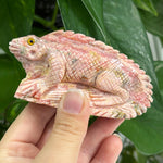 Hand-Carved Rhodochrosite Iguana Gemstone Animal Carving