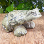 Serpentine Frog Gemstone Figurine - RAN441