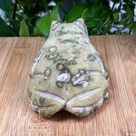 Serpentine Frog Gemstone Figurine - RAN441