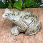 Serpentine Frog Gemstone Figurine - RAN441