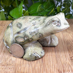 Serpentine Frog Gemstone Figurine - RAN441