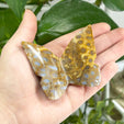 Butterfly Shape Gemstone Animal Figurine - Gem Avenue Wholesale