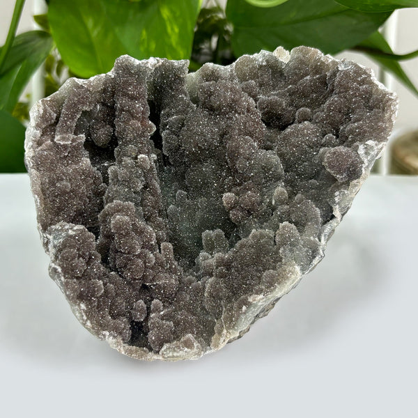 Natural Black Amethyst Gemstone Crystal Geode Specimen - Gem Avenue
