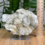Natural Apophyllite Chalcedony Gemstone Mineral Specimen