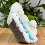 Natural Cavansite Crystal Gemstone Mineral Specimen - RMI664