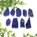 Lapis Lazuli Gemstone Freeform - RPS350
