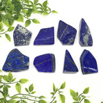Lapis Lazuli Gemstone Freeform - RPS350
