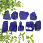 Lapis Lazuli Gemstone Freeform - RPS350