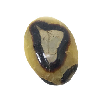 Natural Septarian Round Palm Stone Crystal Gemstone Collectible 4.2 Oz-Gem Avenue