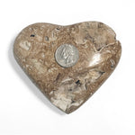 Chocolate Calcite Heart Crystal Gemstone 1 Lb -RSH145