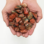 1 lb Polished Brecciated Poppy Jasper Tumbled Gemstone Healing Crystals Bulk