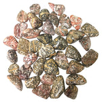 1 lb Polished Leopard Skin Jasper Tumbled Gemstone Healing Crystals Bulk