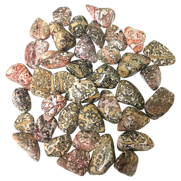 Leopard Skin Jasper Tumbled Stone - Gem Avenue