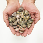 1 lb Polished Leopard Skin Jasper Tumbled Gemstone Healing Crystals Bulk