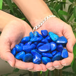 Polished Blue Howlite Tumbled Stone Gemstones 1 Lb
