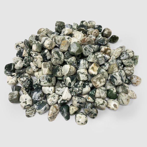 Natural Tree Agate Tumbled Stone Gemstone Crystals- Wholesale - Gem Avenue