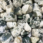 Natural Tree Agate Tumbled Stone Gemstones - 1 lb