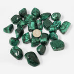 1 lb Polished Green Malachite Gemstone Tumbled Stone
