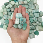 Natural Amazonite Tumbled Stone Gemstones - 1 lb
