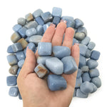 Natural Angelite Tumbled Stone Gemstones 1 lb